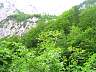dscn3784.jpg