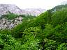dscn3785.jpg